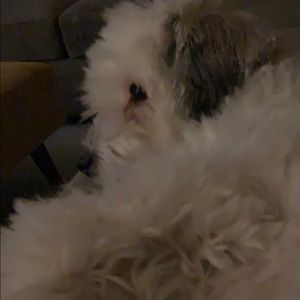 Meet your Posher, Leah